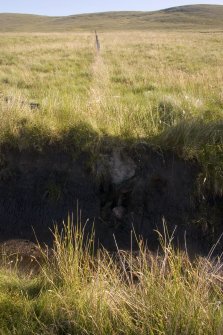 View from S of what may be the footings of a wall exposed in a ditch section at the foot of Sgribhis-beinn.