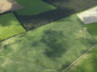 Oblique aerial view centred on the remains of the ring ditch, taken from the WSW.