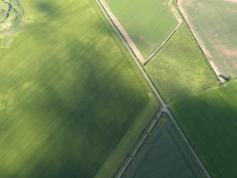 Oblique aerial view centred on the cropmarks of the barrow, taken from the NW.