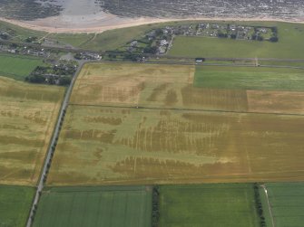 Oblique aerial view centred on the cropmarks of the rig and pits and the village of East Haven, taken from the WNW.