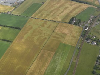 Oblique aerial view centred on the cropmarks of the rig and enclosure near East Haven, taken from the SW.