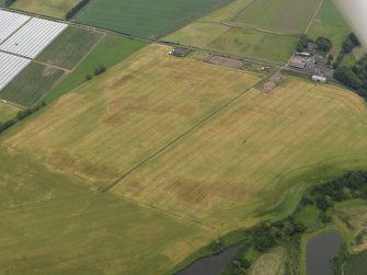 Oblique aerial view centred on the cropmarks of the rig, pits and barrows on Craigmill Farm, taken from the NW.