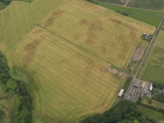 Oblique aerial view centred on the cropmarks of the rig, pits and barrows on Craigmill Farm, taken from the SW.