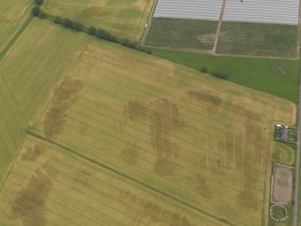 Oblique aerial view centred on the cropmarks of the rig, pits and barrows on Craigmill Farm, taken from the SW.