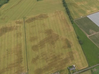 Oblique aerial view centred on the cropmarks of the rig, pits and barrows on Craigmill Farm, taken from the SSW.