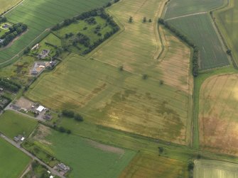 Oblique aerial view of the cropmarks of the round houses, ring ditches and rig and furrow with Hedderwick House adjacent, taken from the NW.