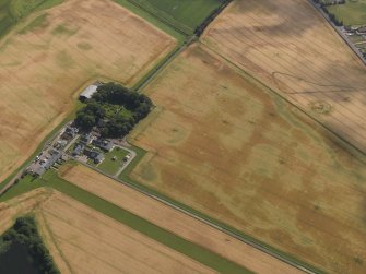 Oblique aerial view of the cropmarks of the round houses and ring ditches of the unenclosed settlement and the farmsteading at Newbigging, taken from the WNW.