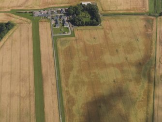 Oblique aerial view of the cropmarks of the round houses and ring ditches of the unenclosed settlement and the farmsteading at Newbigging, taken from the WSW.