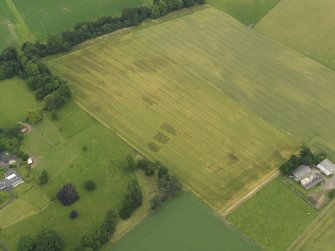 Oblique aerial view of the cropmarks of the ring ditch, legionary fortress and rig and furrow at Carpow, taken from the S.