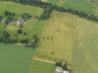 Oblique aerial view of the cropmarks of the ring ditch, legionary fortress and rig and furrow at Carpow with the Carpow House adjacent, taken from the SSE.