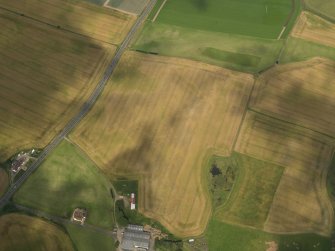 Oblique aerial view of the cropmarks of the barrow, ring ditches and pits at Easter Kinnear, taken from the SW.