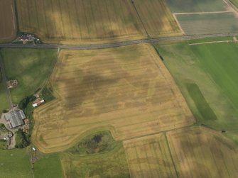 Oblique aerial view of the cropmarks of the barrow, ring ditches and pits at Easter Kinnear, taken from the SSE.