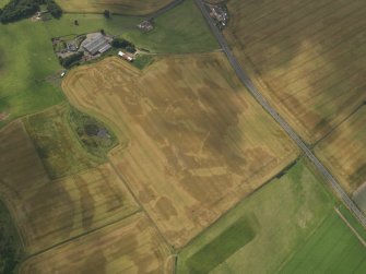 Oblique aerial view of the cropmarks of the barrow, ring ditches and pits at Easter Kinnear with the farmsteading adjacent, taken from the E.