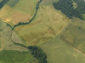 Oblique aerial view of the cropmarks of the ring ditches, enclosures and rig and furrow at Scotscraig Burn, taken from the ESE.