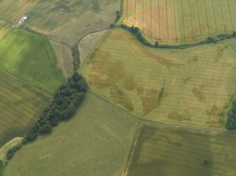 Oblique aerial view of the cropmarks of the ring ditches, enclosures and rig and furrow at Scotscraig Burn, taken from the NNE.