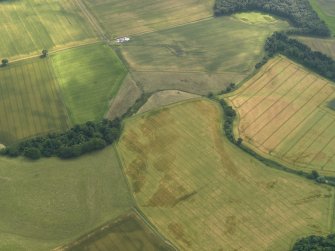 Oblique aerial view of the cropmarks of the ring ditches, enclosures and rig and furrow at Scotscraig Burn, taken from the N.