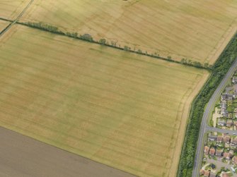 Oblique aerial view centred on the cropmarks of the settlement at Seton West Mains, taken from the NE.