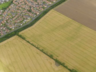 Oblique aerial view centred on the cropmarks of the settlement at Seton West Mains, taken from the SSW.