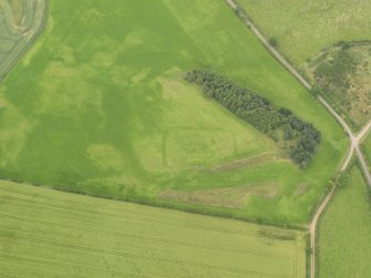 Oblique aerial view centred on the cropmarks of the rectilinear settlement and adjacent enclosure at West Mains, taken from the SSE.