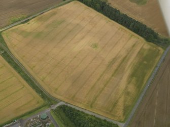 Oblique aerial view centred on the linear cropmarks and the cropmarks of the rig and furrow at Burleigh, taken from the SW.