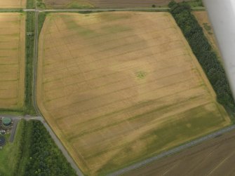Oblique aerial view centred on the linear cropmarks and the cropmarks of the rig and furrow at Burleigh, taken from the S.