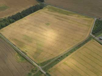 Oblique aerial view centred on the linear cropmarks and the cropmarks of the rig and furrow at Burleigh, taken from the WNW.
