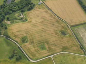 Oblique aerial view of the cropmarks of the enclosure and timber hall at Monboddo, taken from the N.