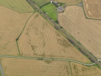 Oblique aerial view of the cropmarks of the rig and furrow and field boundaries at Myreside, taken from the ENE.