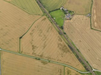 Oblique aerial view of the cropmarks of the rig and furrow and field boundaries at Myreside, taken from the NE.