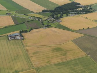 General oblique aerial view of the cropmarks of the rig and furrow with Eassie old parish church beyond, taken from the NNE.