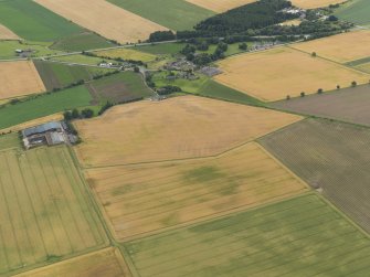 General oblique aerial view of the cropmarks of the rig and furrow with Eassie old parish church beyond, taken from the N.