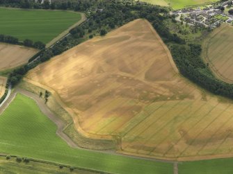 Oblique aerial view of the cropmarks of the quarry pits along the line of the Roman Road and the souterrains and unenclosed round houses at Wester Drumatherty, taken from the N.