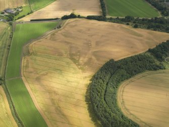 Oblique aerial view of the cropmarks of the quarry pits along the line of the Roman Road and the souterrains and unenclosed round houses at Wester Drumatherty, taken from the NNW.