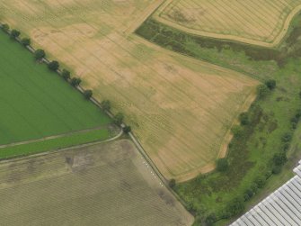 Oblique aerial view centred on the cropmarks of the souterrains, taken from the SSE.