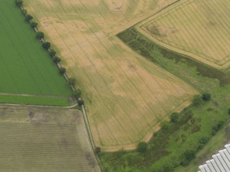Oblique aerial view centred on the cropmarks of the souterrains, taken from the SE.
