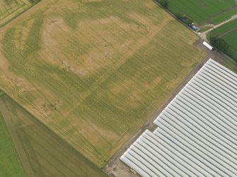 Oblique aerial view centred on the cropmarks of the rig, taken from the NNW.