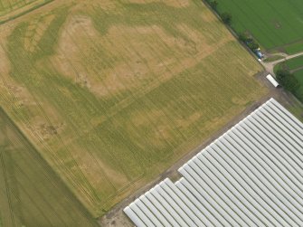 Oblique aerial view centred on the cropmarks of the rig, taken from the NW.