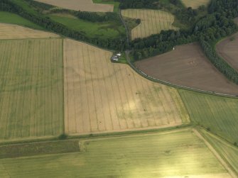 Oblique aerial view centred on the cropmarks of the enclosure, pits and rig, taken from the SW.