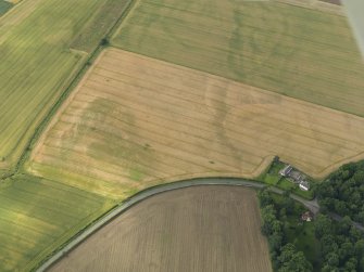 Oblique aerial view centred on the cropmarks of the enclosure, pits and rig, taken from the SE.