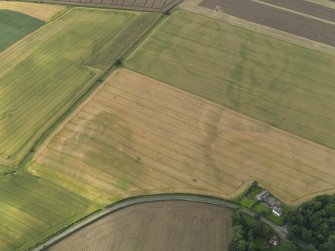 Oblique aerial view centred on the cropmarks of the enclosure, pits and rig, taken from the ESE.