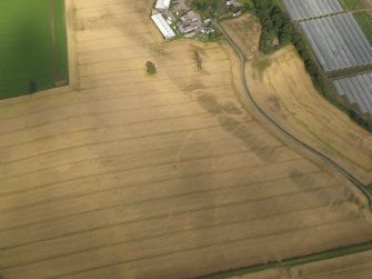 Oblique aerial view centred on the cropmarks of the pits, henge, ring ditch and rig, taken from the WSW.