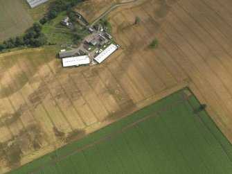 Oblique aerial view centred on the cropmarks of the pits, henge, ring ditch and rig, taken from the N.