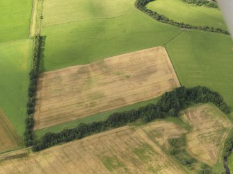 Oblique aerial view of the cropmarks of the barrows, pits and enclosure, taken from the SSE.