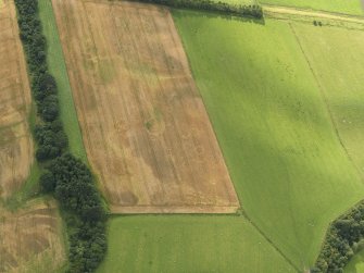 Oblique aerial view of the cropmarks of the barrows, pits and enclosure, taken from the NE.