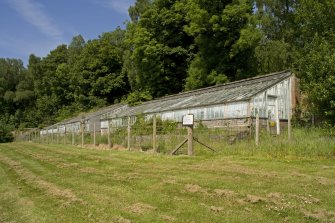 View of N greenhouse from SE