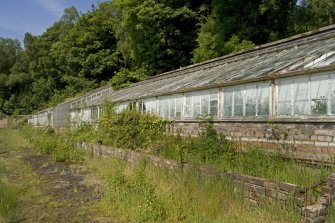 View of N greenhouse from ESE