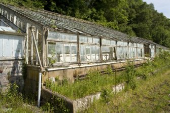 View of central section of N greenhouse from WSW