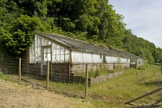 View of N greenhouse from WSW