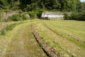 View of N greenhouse from SW