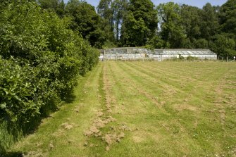 View of N greenhouse from S